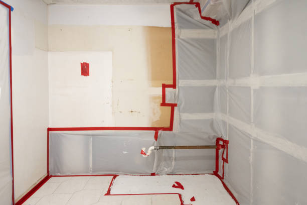 Mold Documentation for Insurance Claims in Selden, NY